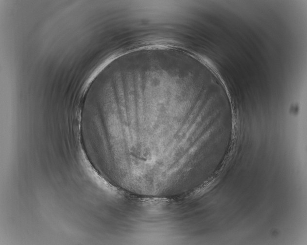 X0000115430859200911181459