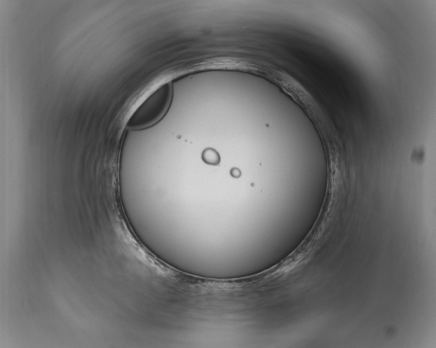 X0000115430860200911181459