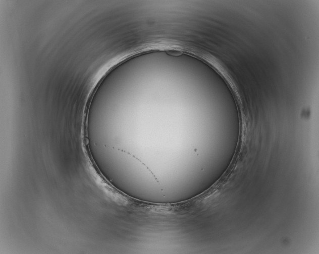 X0000115430861200911181459