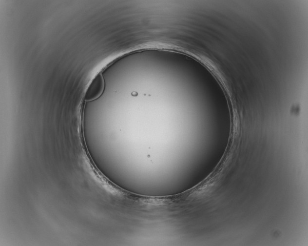 X0000115430862200911181459