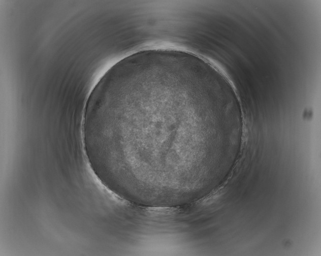 X0000115430863200911181459