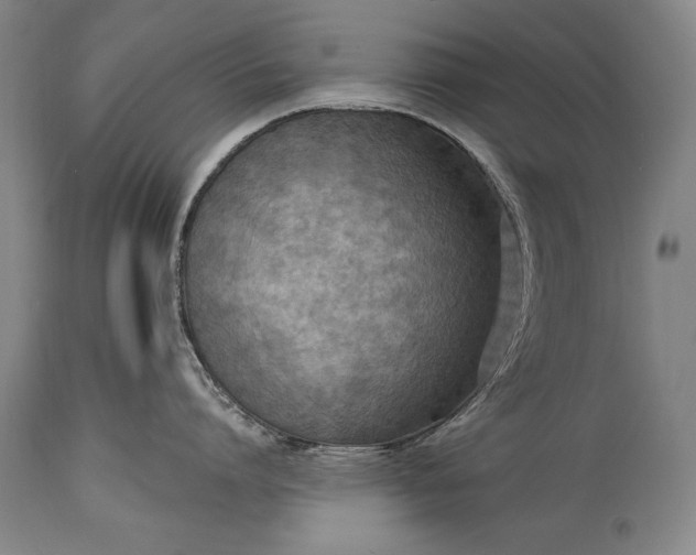 X0000115430864200911181459