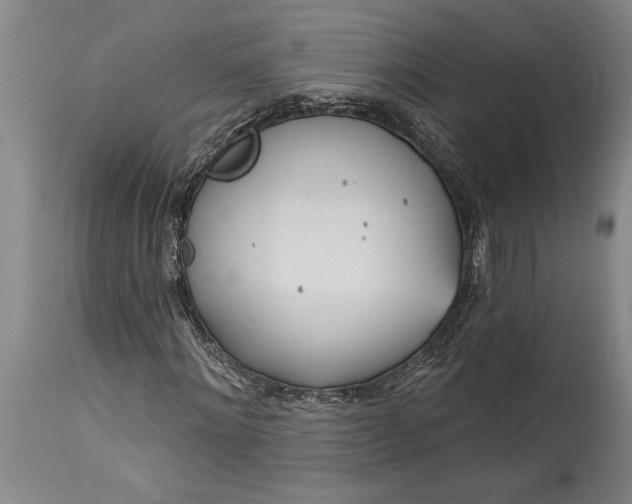 X0000115430868200911181458