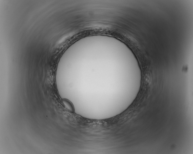 X0000115430869200911181458