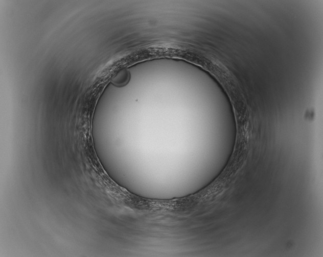 X0000115430870200911181458