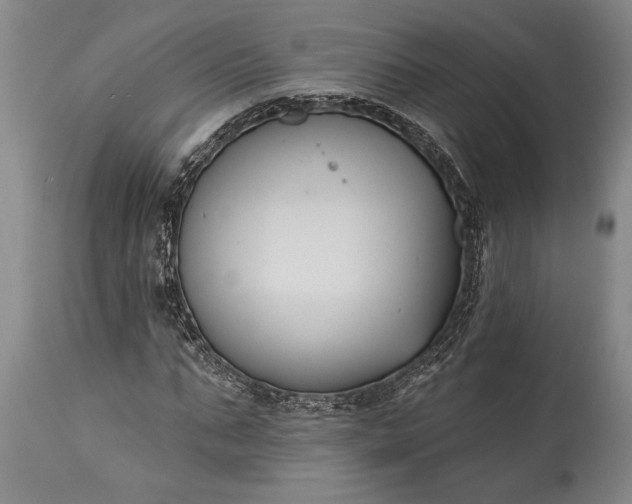 X0000115430871200911181458