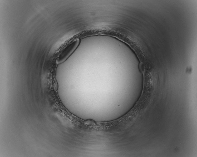 X0000115430872200911181458