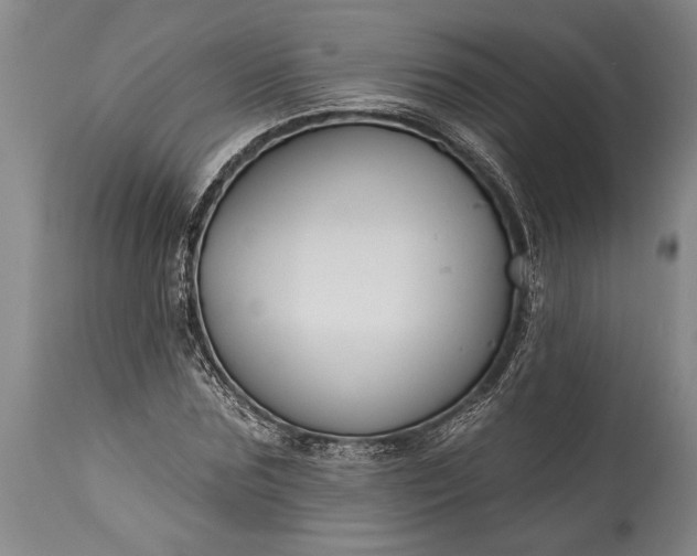 X0000115430875200911181458