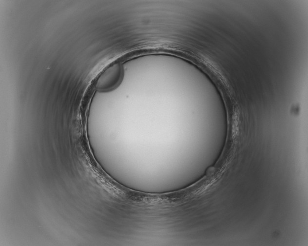 X0000115430876200911181458