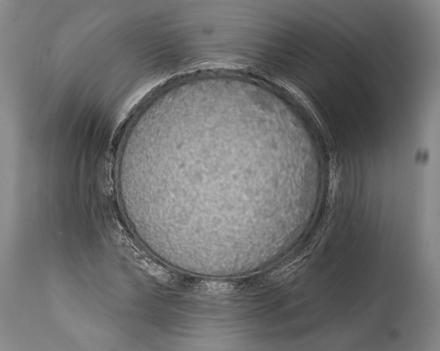 X0000115430878200911181458