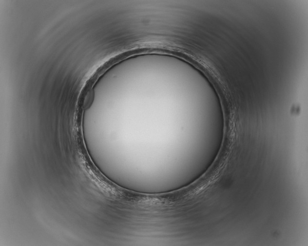 X0000115430880200911181458