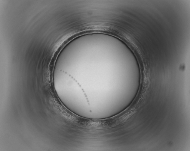 X0000115430883200911181458