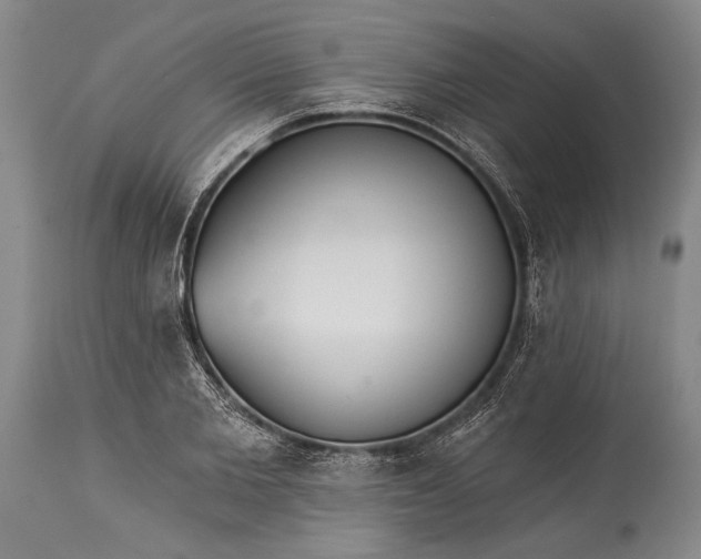 X0000115430885200911181458