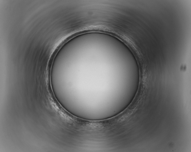 X0000115430888200911181458