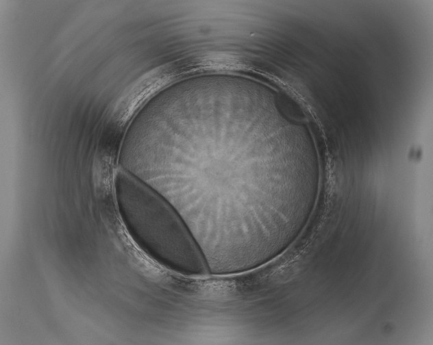 X0000115430889200911181458