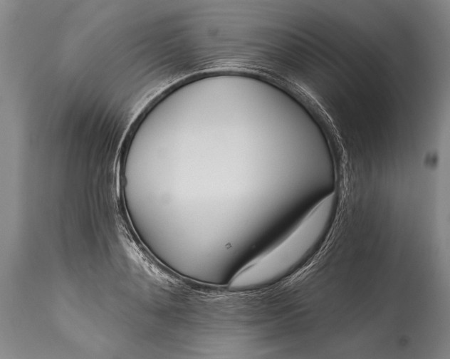 X0000115430892200911181458