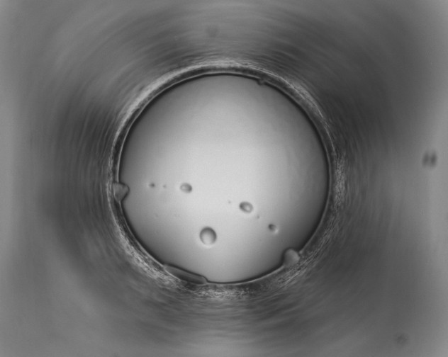 X0000115430895200911181458