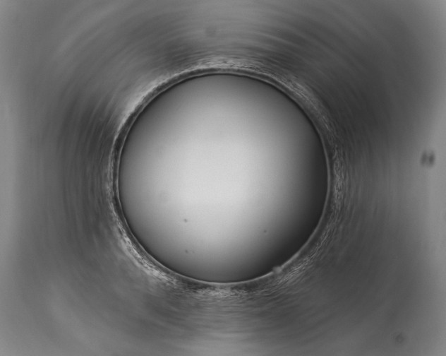 X0000115430896200911181458