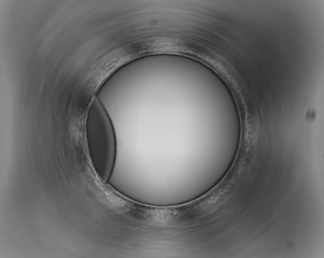 X0000115430897200911181458