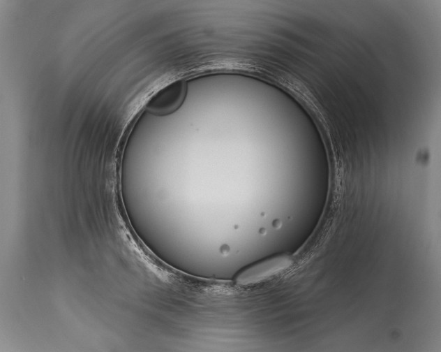 X0000115430898200911181458