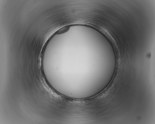 X0000115430900200911181458