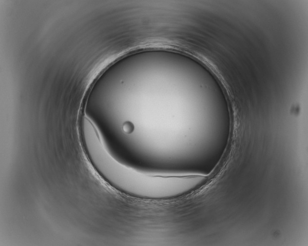 X0000115430901200911181458