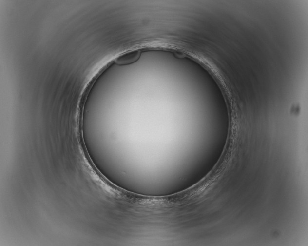 X0000115430902200911181458