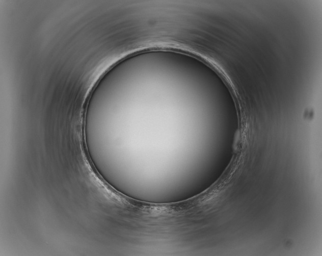 X0000115430903200911181458