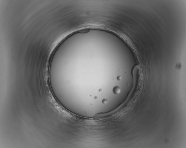 X0000115430904200911181458