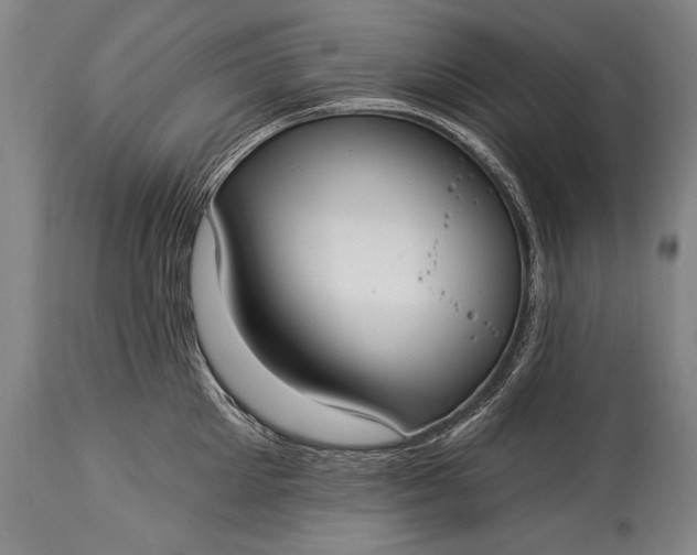 X0000115430905200911181458