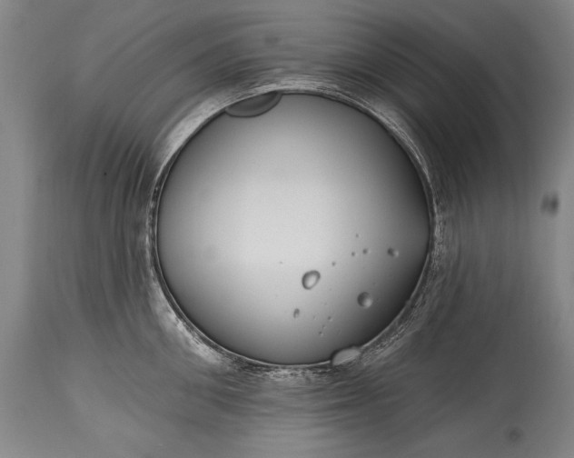 X0000115430906200911181458