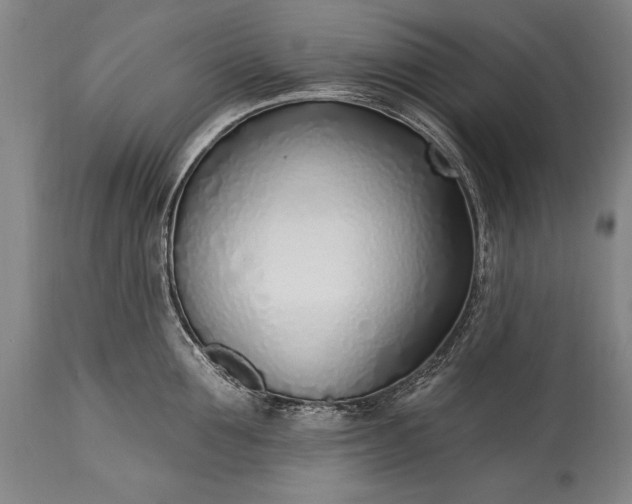 X0000115430907200911181458