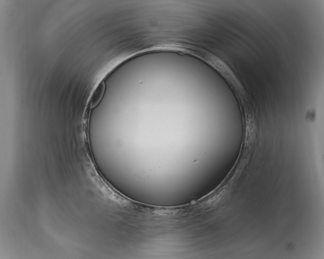 X0000115430908200911181458