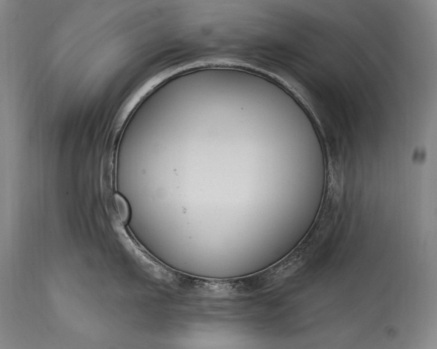 X0000115430911200911181458