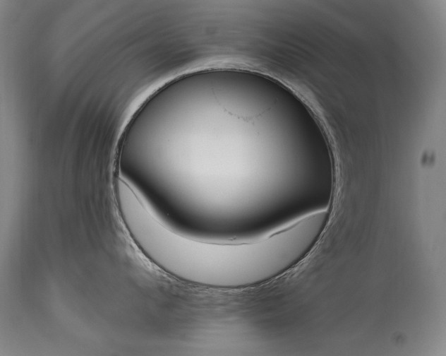 X0000115430912200911181458