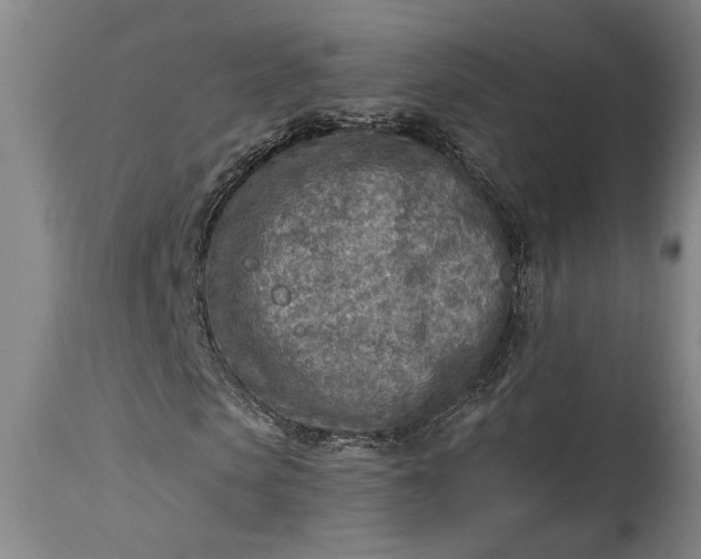 X0000115430913200911181457