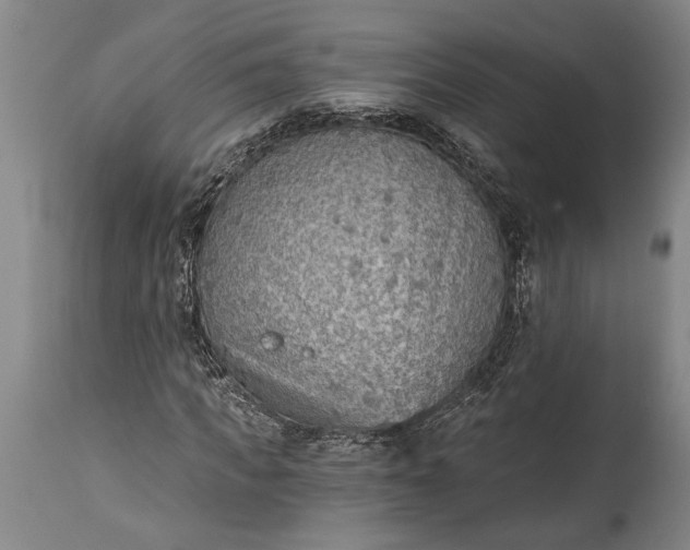 X0000115430917200911181457