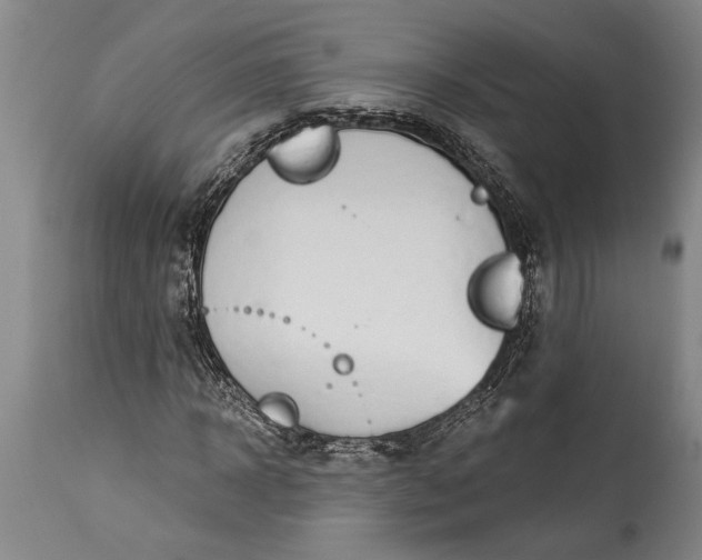 X0000115430918200911181457