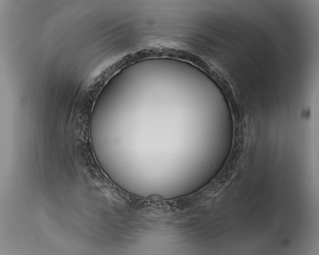 X0000115430919200911181457