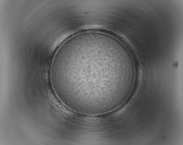 X0000115430921200911181457