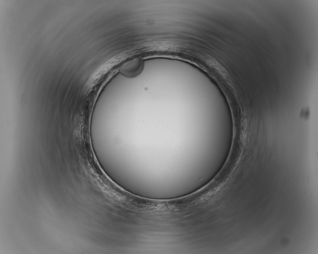 X0000115430922200911181457