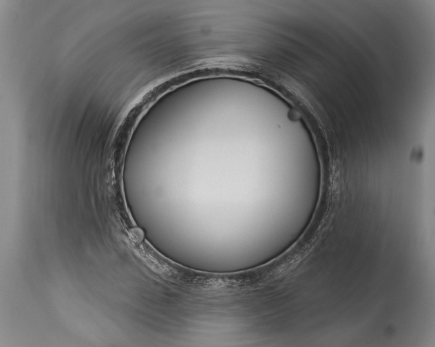 X0000115430923200911181457