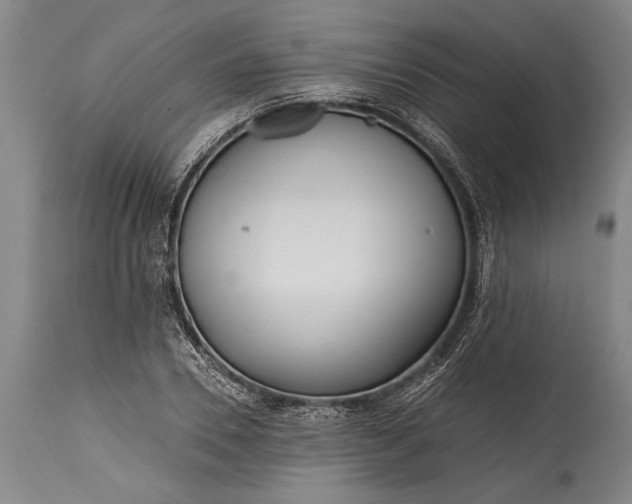 X0000115430930200911181457