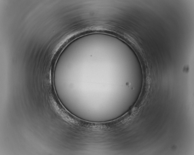 X0000115430934200911181457