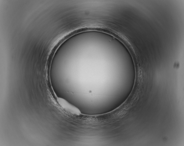 X0000115430935200911181457