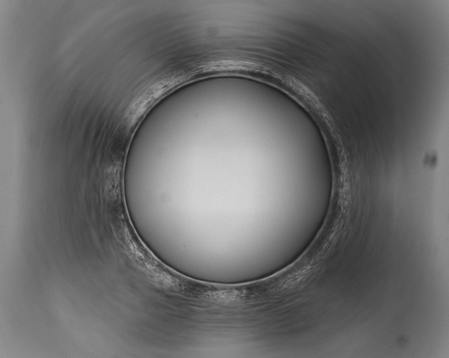 X0000115430937200911181457