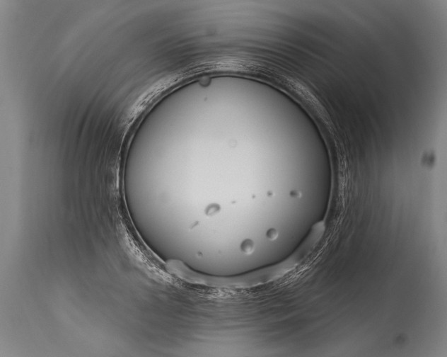 X0000115430938200911181457