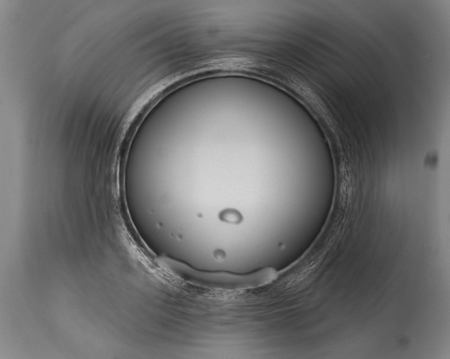 X0000115430939200911181457