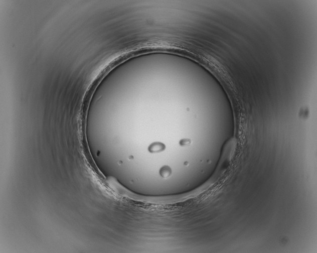 X0000115430942200911181457