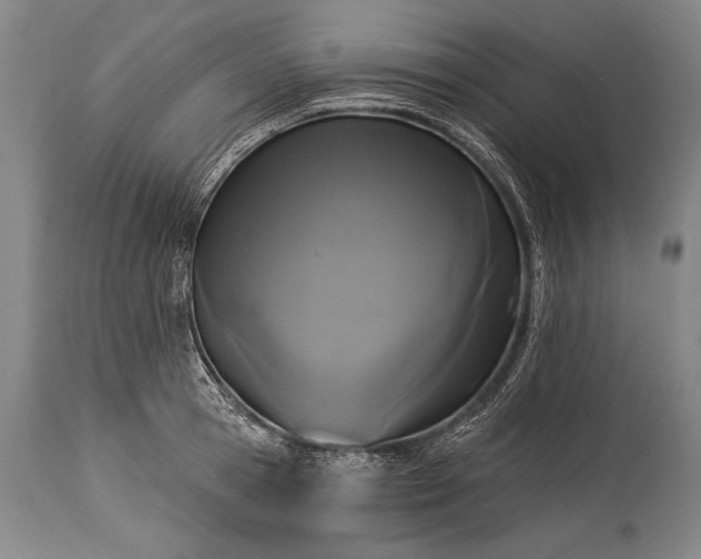 X0000115430945200911181457